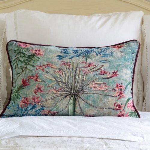 Agapanthus Velvet Cushion by Grand Illusions